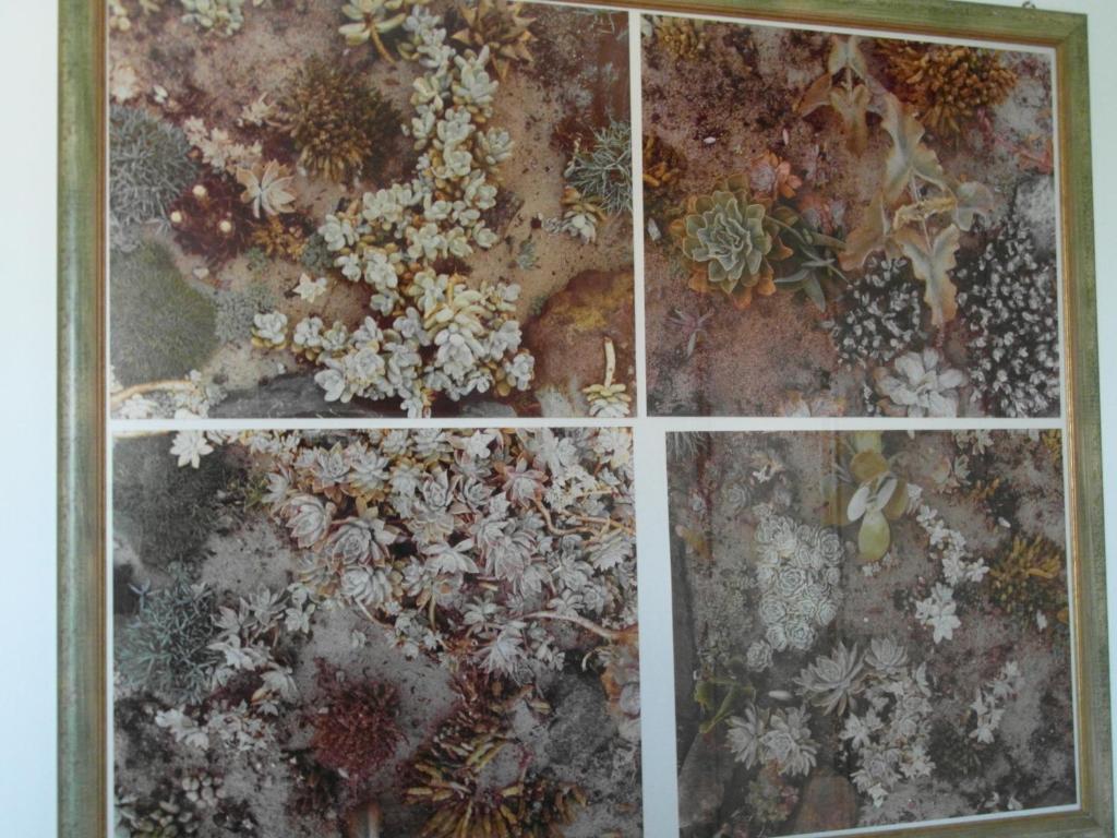 Abitazione Pigneto B&B Rome Room photo